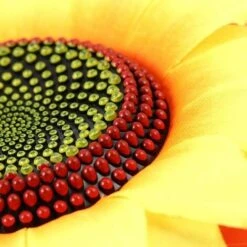 14 Inch Sunflower Pinwheels Wind Spinners Garden Party Pinwheel Windmill Suitable For Garden, Party, Outdoor, Yard, Decoration, Yellow -Small Appliances Store 68091175 3