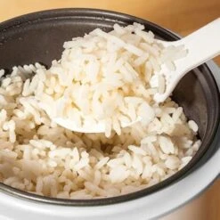 Judge Mini Rice Cooker -Small Appliances Store 88699972 5