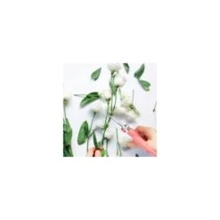 Floral Shears, Premium Steel Garden Pruning Shears Floral Fruits Leaf Scissors Hand Pruner Snip Trimming Tool For Gardening Flower Arrangement, Pink -Small Appliances Store 98422342 4